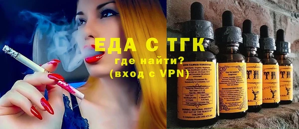 индика Новодвинск