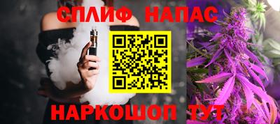 индика Бийск