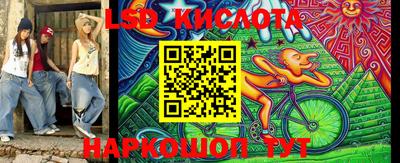 индика Бийск