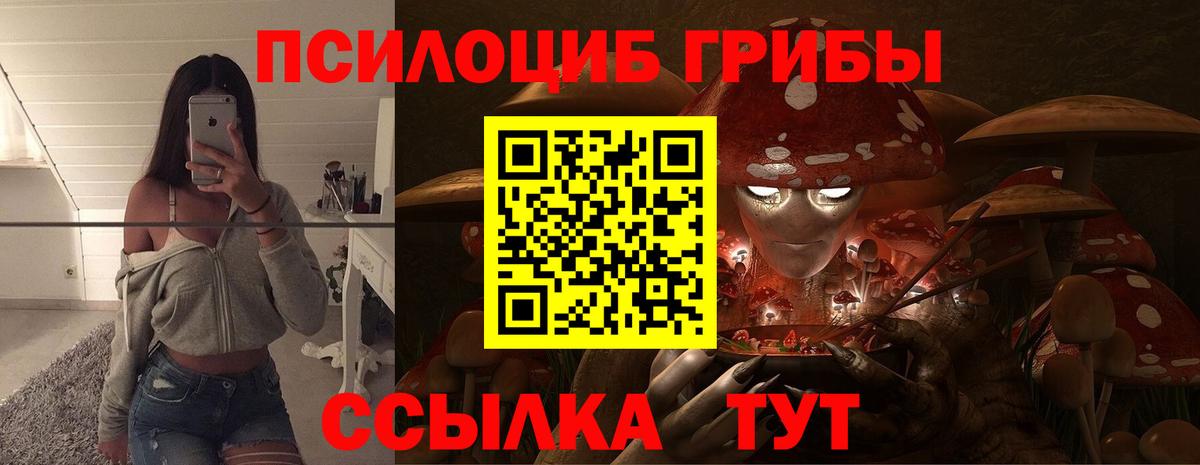 Галлюциногенные грибы Magic Shrooms  Галлюциногенные грибы Magic Shrooms  Вход с VPN  Ишим 