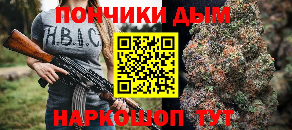 Конопля сатива Ишим